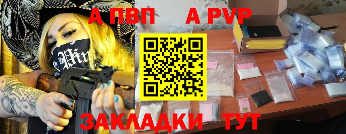 A PVP СК КРИС Елец